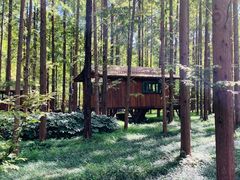 -黄海国家森林公园