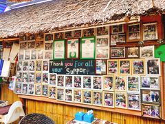 -Jungle Kitchen