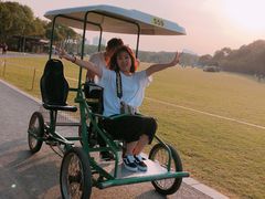 -昆山城市生态森林公园