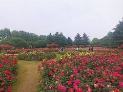 -郑州植物园