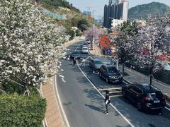 -小南山公园
