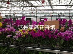 -长春农博园