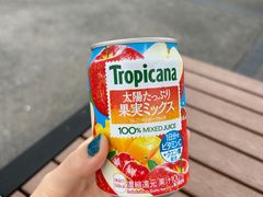 -岚山嵯峨野观光小火车