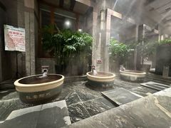 -弘安丽水温泉酒店