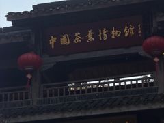 -中国茶叶博物馆(双峰馆区)