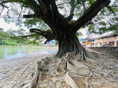 -云水谣景区