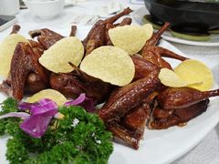 -金鮀岛潮州酒家