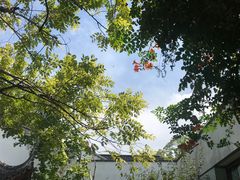 -苏州园林博物馆