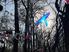 -BOCATA 西班牙餐厅(三里屯店)