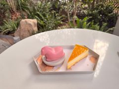 -tea'stone (万象天地店)