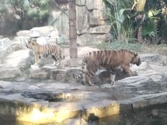 -深圳野生动物园
