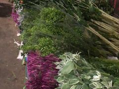 -昆明国际花卉拍卖交易中心