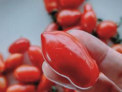 -江杨农产品批发市场