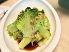 -佬肥猫(七宝宝龙店)