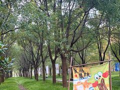-嘉北郊野公园