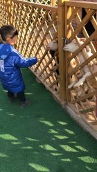 -萌宠亲子动物乐园(槐房万达店)