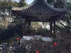 -东航云逸酒店(九溪烟树店)