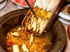 -芸山季·云南野生菌火锅(宝能环球汇店)