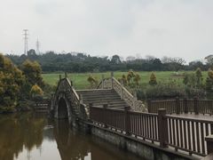 -张坝桂圆林公园