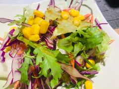蔬菜沙拉-青都里日本料理(高新二路店)