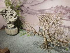 -深圳博物馆(古代艺术馆)