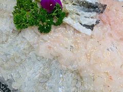 -官塘陈记鱼生·潮汕砂锅粥·牛肉火锅(潮枫路总店)