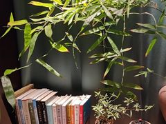 -王府茶宴(朝阳公园店)