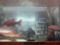 -阳光码头海鲜火锅(世纪大道店)