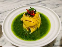 青葱姜蓉嫩鸡-青雅中餐厅(大连金石滩绿发希尔顿度假酒店)