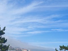 -小麦岛公园