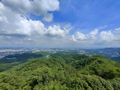 -大屏嶂森林公园