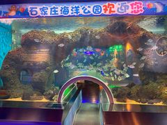 -石家庄海洋公园