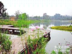 -白鹭湾湿地公园