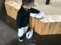 -昆明大悦城未来动物城(螺蛳湾中心店)