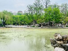-莲湖公园