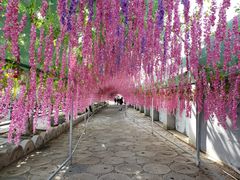 -河北村民俗体验园
