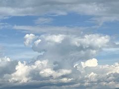 -洱海月湿地公园