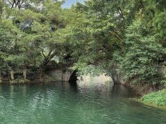 -广州市流溪河国家森林公园