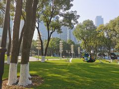 -重庆市江北嘴中央商务区中央公园