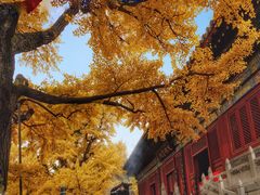 -红螺寺