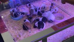 -汤姆猫亲子乐园(保利Mall店)