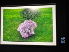 -罗红摄影艺术馆