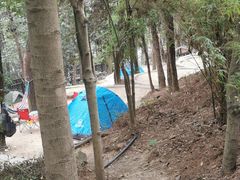 -铁山坪森林公园