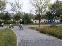 -东郊湿地公园