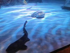 -沈阳海洋探索中心