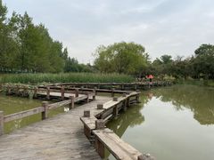 -西安浐灞国家湿地公园