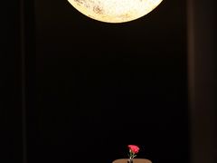 -芙蓉十九·新湘菜