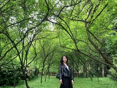 -南山植物园