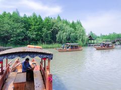 -溱湖国家湿地公园