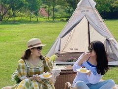 -南宁良凤江国家森林公园